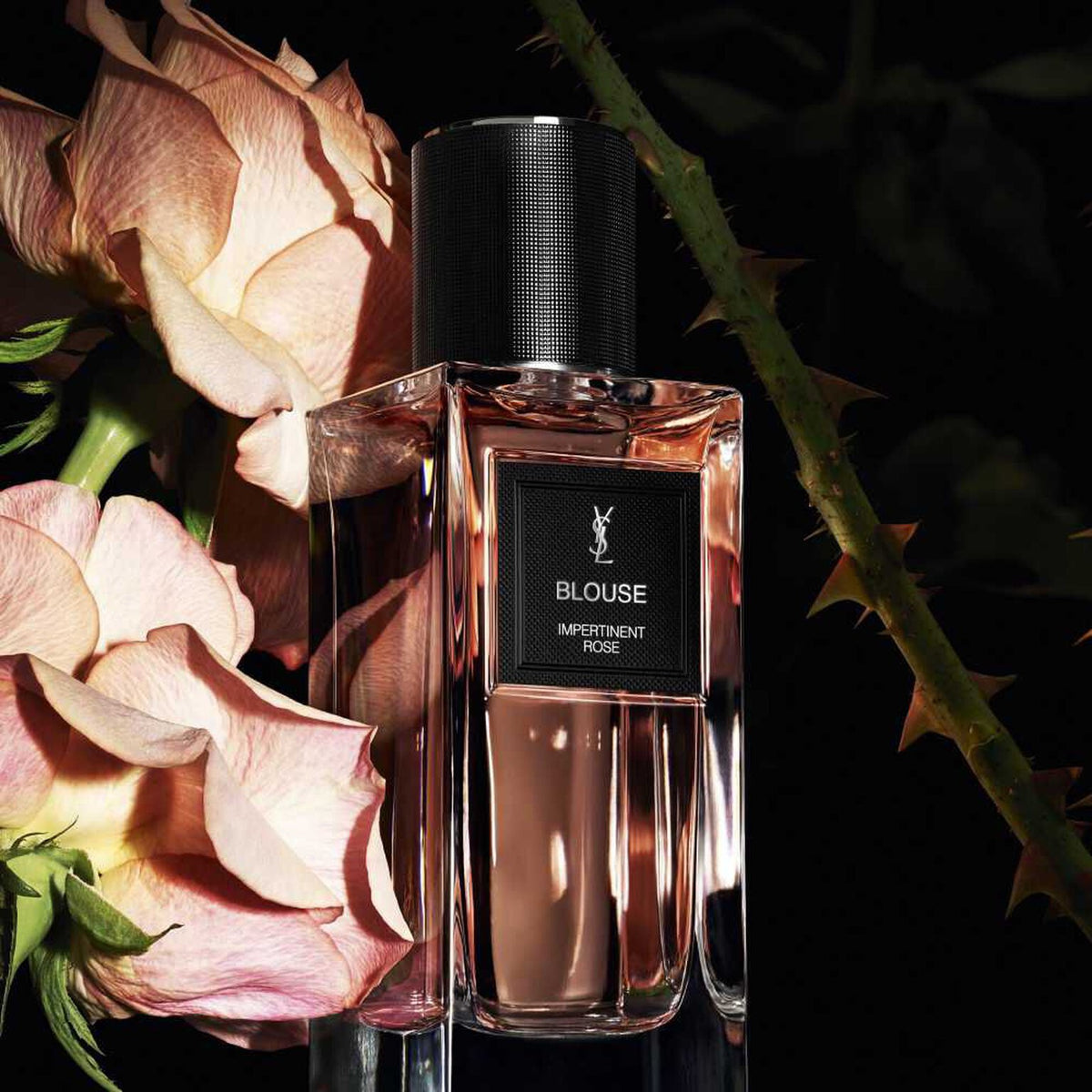 Blouse Eau de Parfum